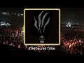 TROCADO – My Girl (Original Mix) - #afrohouse #thesacredtribe
