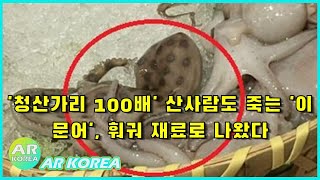 뉴스데스크 | '청산가리 100배' 산사람도 죽는 '이 문어', 훠궈 재료로 나왔다 | 뉴스공장