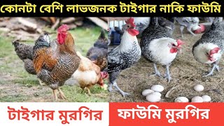 কোনটা বেশি লাভজনক টাইগার নাকি ফাউমি