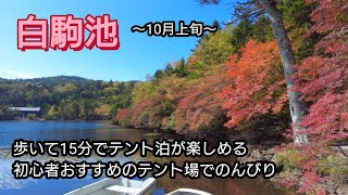 【白駒池】歩いて15分でテント泊〜初心者おすすめのテント場でのんびり【紅葉】10月上旬