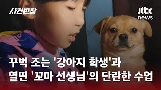 꾸벅 조는 '강아지 학생'과 열띤 '꼬마 선생님'의 단란한 수업 #글로벌픽 / JTBC 사건반장