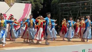 倭乃國（2023スーパーよさこい・二日目・神宮会館ステージ）