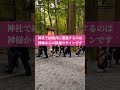 ⚠️神様からの歓迎のサイン⚠️この動画に辿り着いた貴方の願いは必ず叶います🌈✨【椿大神社】 #願いが叶う #運気上昇 #スピリチュアル #パワースポット #椿大神社 #椿岸神社 #遠隔参拝