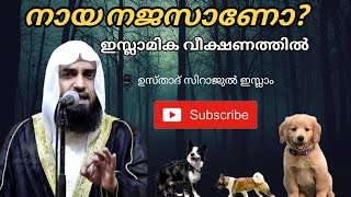 നായ നജസാണോ | Is the Dog Najis | Najas | Sirajul Islam Balussery | Islamic Muslim Kerala Malayalam