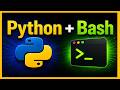 Run Python Scripts with Bash on macOS (Beginner Guide)