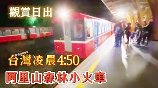 台灣 阿里山日出，凌晨4點森林小火車，大半夜往祝山車站。第134集。阿里山(2).