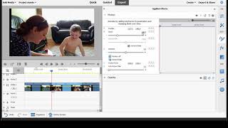 Basic Training for Adobe Premiere Elements 2022, Part 6 of 8