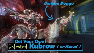 How to Get an Infested Kubrow or Kavat | Warframe