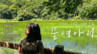 ep4.물영아리오름🌊제주도 게하 스텝이 인생 오름 추천해요🌿 \