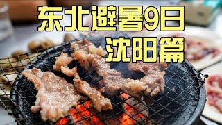 沈阳3日逛吃逛玩！锅包肉小神店、西塔烤鳗、泥炉烤肉、西关美食街，各式鸡架吃到爽