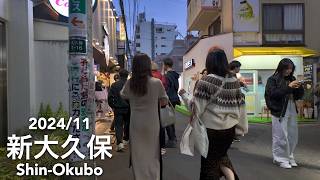 Weekend Walk in Tokyo: From Shinjuku to Shin-Okubo - 2024/11