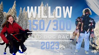 WILLOW 300 \u0026 150 SLED DOG RACE 2023