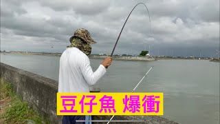 ［釣魚］布袋釣遊 虱目魚 豆仔魚 ［阿奇］fishing 釣りをします ตกปลา đánh bắt cá penangkapan ikan