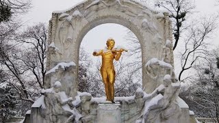 360 VR Tour | Vienna | Johann Strauss monument | No comments tour