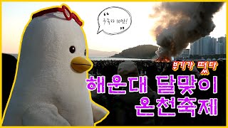 소원을 말해봐 | 4년만에 돌아온 해운대 달집태우기 | 부기가 떴다!!