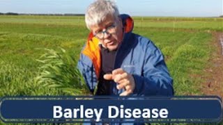 HRZ Barley Disease Management