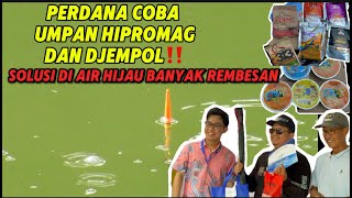 PERDANA PAKAI UMPAN HYPROMAG & DJEMPOL‼️SOLUSI DI AIR HIJAU❗️MANCING BERSAMA YOUTUBER SEJABODETABEK