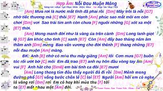 Hợp âm | Nỗi đau muộn màng | Am | Hợp Âm Nhạc Việt