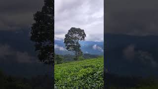 Nallamudi View Point#Valparai#Shorts#T2B#TN#