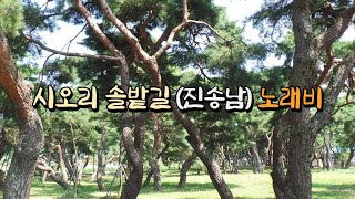 '시오리 솔밭길(진송남)' 노래비 따라 3천 리(62)