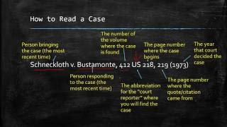 Understanding Case Citations