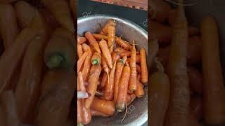 Carrot Washing Machine