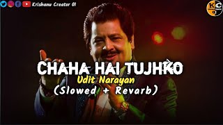 Chaha Hai Tujhko || Slowed + Reverb || Udit Narayan & Anuradha Paudwal , Hindi Lofi Song || Sad Song