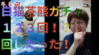 【白猫】茶熊ガチャ123回!?回したった!【ガチャ動画】