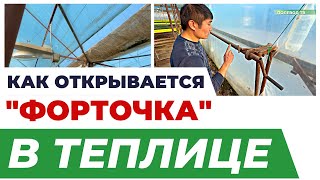 Механизм проветривания теплицы #теплица #агробизнес #агроном