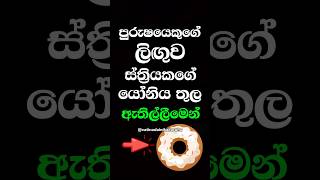 හම්බෝ දන්නවද වෙනදේ 😐 #shorts #education #facts