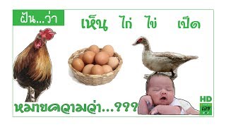 ฝันว่า เห็น ไก่ ไข่ เป็ด หมายถึง ??