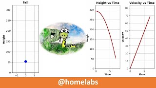 Python Simulator-Vertically Falling Ball