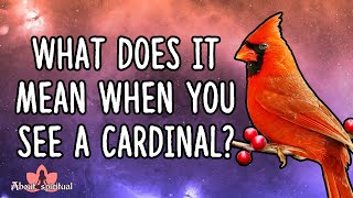 What Does It Mean When You See A Cardinal
