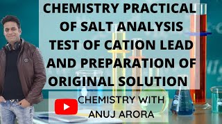 Test of cation lead and preparation of original solution