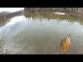 est il trop tôt pour pêcher le bar pêche de fin d hiver depuis le rivage