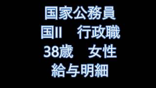 給与明細　意外と薄給　国家公務員　行政職　38歳女性