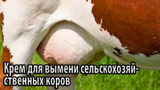 Крем для вымени сельскохозяйственных коров