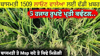 ਇਦਾ ਮਿਲੇਗਾ 1509 ਦਾ ਰੇਟ 5 ਹਜਾਰ, ਅਤੇ 1121 ਛੇ ਹਜਾਰ.! || basmati new price