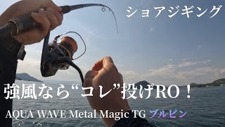 【ショアジギング】強風の時はタングステンジグ+ブレード=Metal  Magic TG投げときゃ釣れる