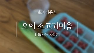 초기이유식 l 오이 소고기미음 10배죽 3일치