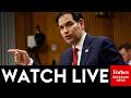 WATCH LIVE: Marco Rubio Testifies Before The Senate
