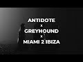 Antidote x Greyhound x Miami 2 Ibiza | Renin Mashup