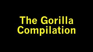 The Gorilla Meme Compilation 1