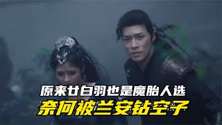 长月烬明：原来廿白羽也是魔胎人选，奈何被兰安钻空子，毁其一生