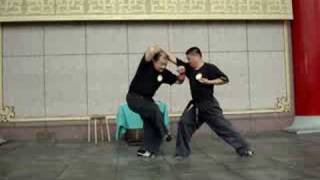 bajiquan 八極拳---「挑打頂肘」招式講解