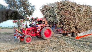 Great Tractor performance | Belarus Tractor pulling sugarcane loaded Trolley in field