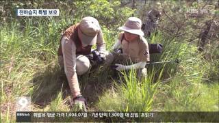 [주요 뉴스] KBS뉴스9 경남 – 생태계 보고, '천하습지'(2016.01.05.화)