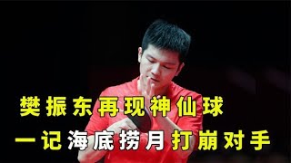 樊振东再现神仙球，一记海底捞月，直接将对手心态打崩【KK】