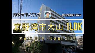 宜野湾市大山 1LDK 家賃88.000円 41.76㎡ 【ルームツアー】 #カネマサハウス  #賃貸住宅 #内覧動画 #マンション #アパート