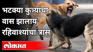 भटक्या कुत्र्यांचा वास झालाय रहिवाश्यांचा त्रास | Stray Dogs Have Become a Nuisance to Residents